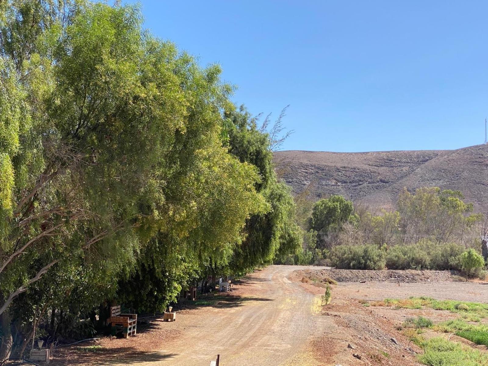 Casa Yamile Villa Tarajalejo Oda fotoğraf